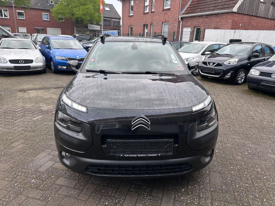 Citroën C4 Cactus Feel in Nordhorn