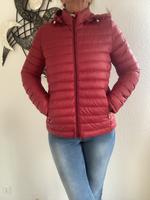 Daunen Jacke v.Tommy Hilfiger Gr.M Rot Neu m.Etikette 199 Euro Niedersachsen - Osnabrück Vorschau