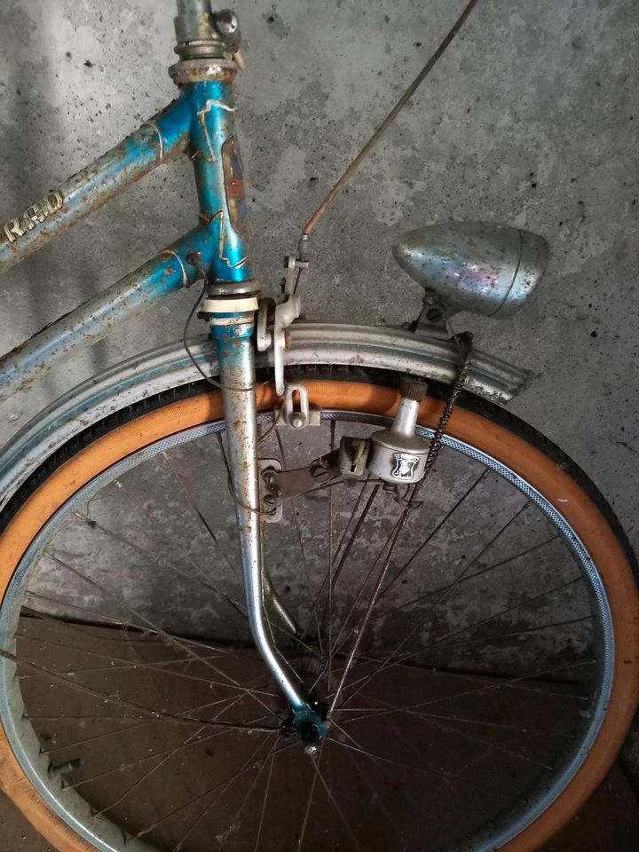 Gold Rad Köln Fahrrad Scheunenfund Restaurationsobjekt Fixie in Wetzlar