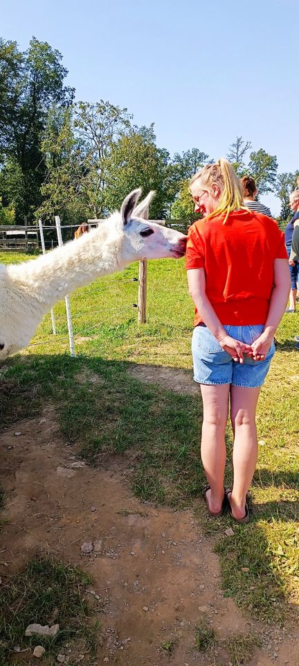 Lama-Seifen-Workshop - Seife sieden aus flauschiger Lamawolle in Ostercappeln