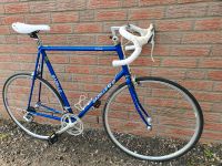 Rennrad, Vintage, Oldtimer, Gazelle Formula RH 63 cm CC Schleswig-Holstein - Kiel Vorschau