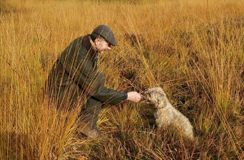 Der Hamburger Hundetrainer/Hundetraining/Hundeschule in Hamburg