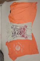 Sommer Oberteile T-Shirts T-Shirt Shirts Shirt Berlin - Reinickendorf Vorschau