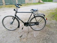 Holländer Fahrrad für Herren Parchim - Landkreis - Lübz Vorschau