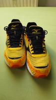 Mizuno wave musha 2 Wettkampfschuh Gr 44 Thüringen - Arnstadt Vorschau