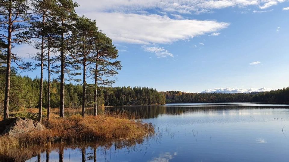 Schweden Outdoor Alleinlage Jäger Pferde Reiter Paradies Anwesen in Putgarten