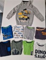 9 Jungen Langarmshirt Pullover Gr 98/104 für Dinosaurier Fans Brandenburg - Rüdersdorf Vorschau