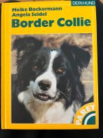 Border Collie Buch Meike Bockermann VDH Saarland - Quierschied Vorschau