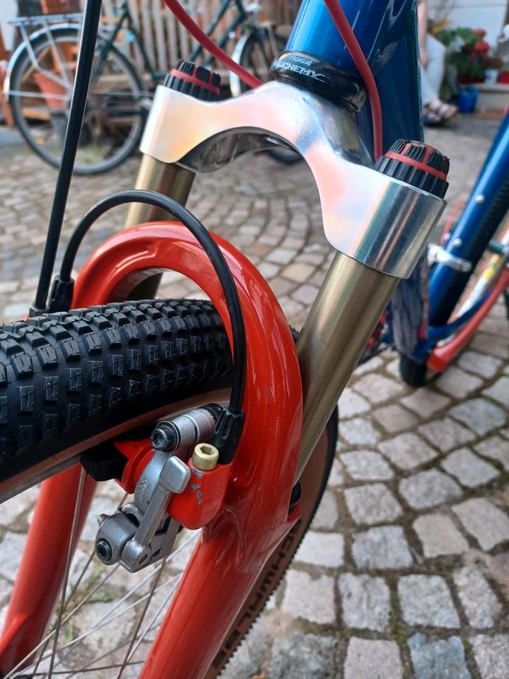 Cannondale M500 26 Zoll Vintage Mountainbike MTB Restauiert in Schifferstadt