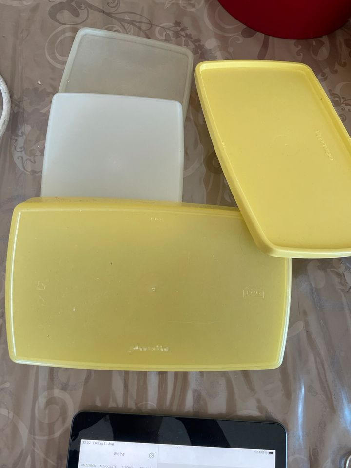 Tupperware Dose Gefrierdose 600 ml 350ml Box Gefriebehälter in Gunzenhausen