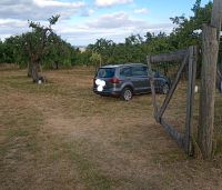 Kirschgarten in Großweingarten/Spalt Bayern - Hilpoltstein Vorschau