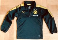 BVB Puma 1/4 Zip Trainings Top Hessen - Bad Wildungen Vorschau