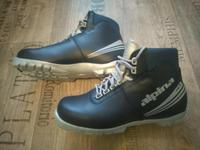 Ski-Schuhe Alpina Gr. 40 Top Zustand Sachsen - Altenberg Sachs Vorschau