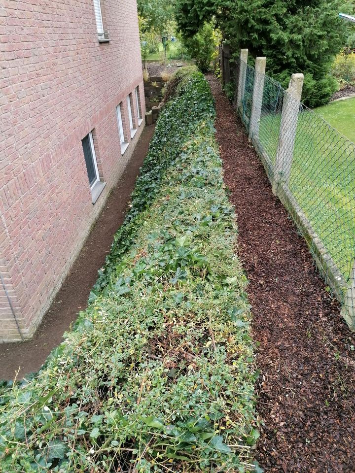 Heckenschnitt Rasenschnitt Gartenpflege Hausmeisterservice in Lübbecke 