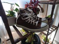 Converse Sneaker braun HI Gr. 39,5 Nordrhein-Westfalen - Hörstel Vorschau