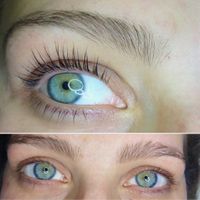 Wimpernlifting inclusive Färben und Keratin Hamburg - Altona Vorschau