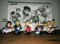 Street Fighter Heroines Büsten Capcom Figuren 5 Stück Mecklenburg-Vorpommern - Zurow Vorschau