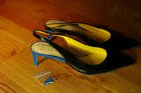 Paar bunte  ZARA Slingpumps in Lackleder, UNgetragen, Gr. 38 Niedersachsen - Jesteburg Vorschau