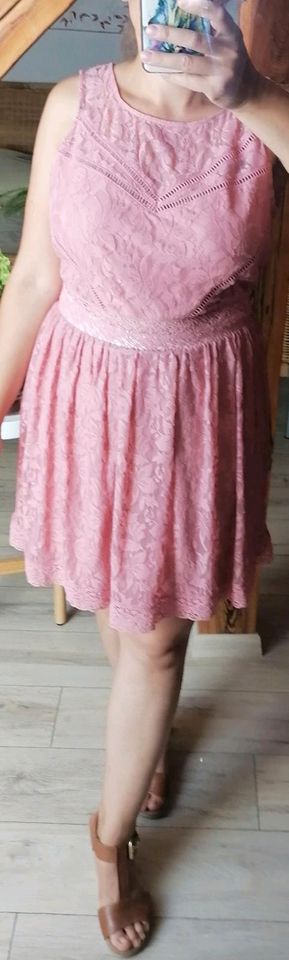 *NEU*Sommerkleid, Vintage, Tom Tailer, L, rose in Peitz