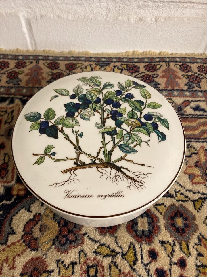 Villeroy Boch Botanica Dose Deckeldose Porzellan in Niedersachsen
