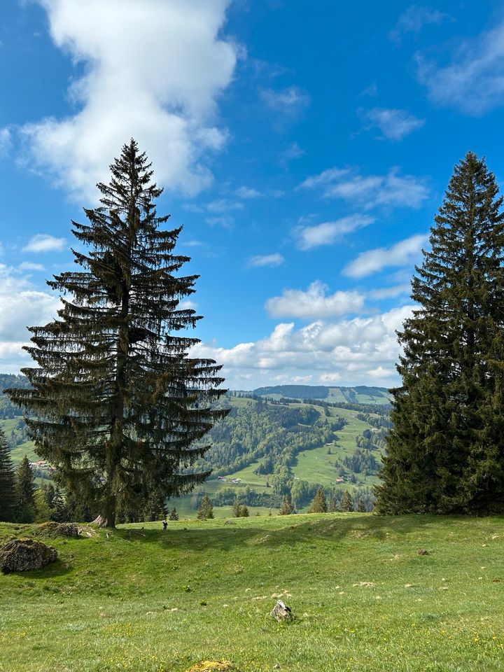 Leihoma/ Ersatzoma/ Leihgroßeltern ehrenamtlich gesucht in Osnabrück