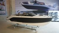 Quicksilver Activ 605 Cruiser + 115 PS #Lagerboot Kiel - Hassee-Vieburg Vorschau