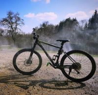 Mountainbike Ideal "Hillmaster" Bayern - Falkenfels Vorschau