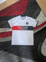 Qatar Trikot Sachsen - Görlitz Vorschau