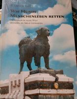 Tierbücher, abgabe da Tierop. Sachsen - Dessau Vorschau