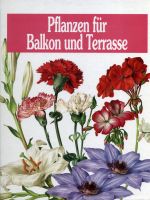 Pflanzen, Blumen, Balkon, Terrasse, Botanik, Wohnung, Garten Berlin - Spandau Vorschau