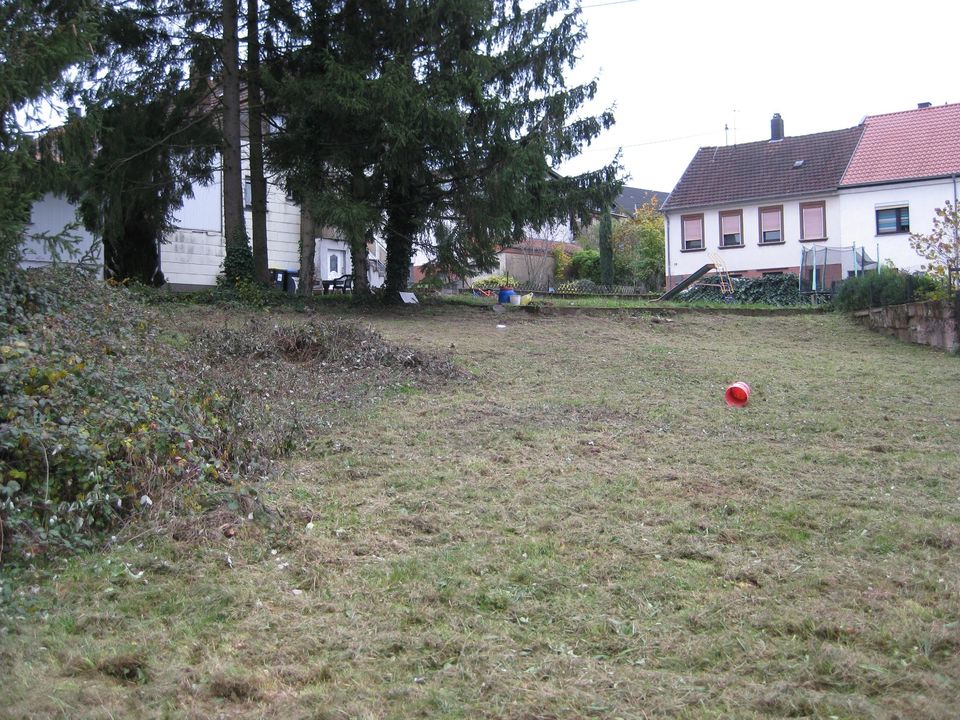 2 Wohnhäuser und ein Bauplatz in Hüttigweiler,gesamt ca 2000qm in St. Wendel