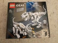 Lego Ideas 21320 Dinosaurier-Fossilien Rheinland-Pfalz - Windesheim Vorschau