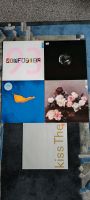 Vinyl New Order Konvolut 5 Platten Nordrhein-Westfalen - Schloß Holte-Stukenbrock Vorschau