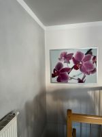 Dekobild Orchidee im Alurahmen Kr. Dachau - Dachau Vorschau