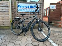 Neu Falter E9.0 SE FL E-Bile / Pedalec Kreis Pinneberg - Elmshorn Vorschau