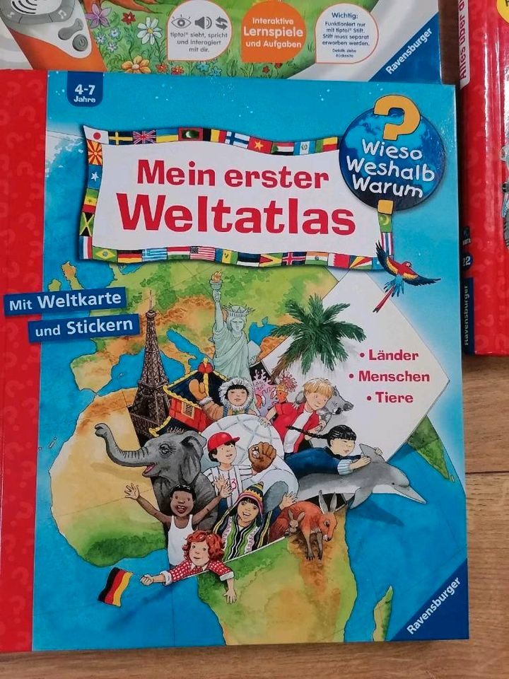 Tiptoi Bücher, wieso weshalb warum Kinderbücher in Berlin