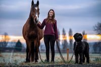 Tierphysiotherapie, Professionelle manuelle Therapie für alle Tie Nordrhein-Westfalen - Holzwickede Vorschau