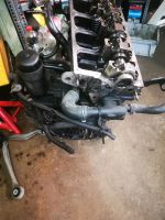 Passat 3 bg Motor Güstrow - Landkreis - Gülzow-Prüzen Vorschau