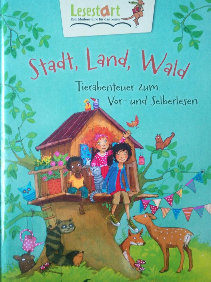 Stadt Land Wald Buch in Lünne