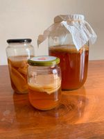 Kombucha Scoby Teepilz mit Ansatzflüssigkeit Thüringen - Jena Vorschau