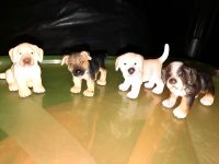 Schleich Hunde Welpen Leipzig - Leipzig, Zentrum-Ost Vorschau