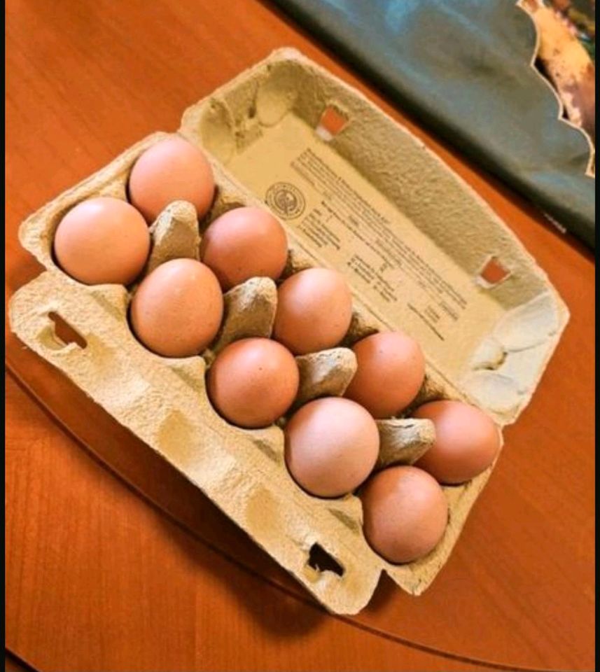 BIO Hühner-Eier  günstig abzugeben in Hörstel