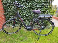 Westland Premium 500RT8 E-Bike,Damenfahrrad,schwarz-matt/rot Niedersachsen - Emsbüren Vorschau