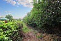 Zeit zur Entspannung: Großes Gartengrundstück in ruhiger Lage von Teutschenthal Sachsen-Anhalt - Teutschenthal Vorschau