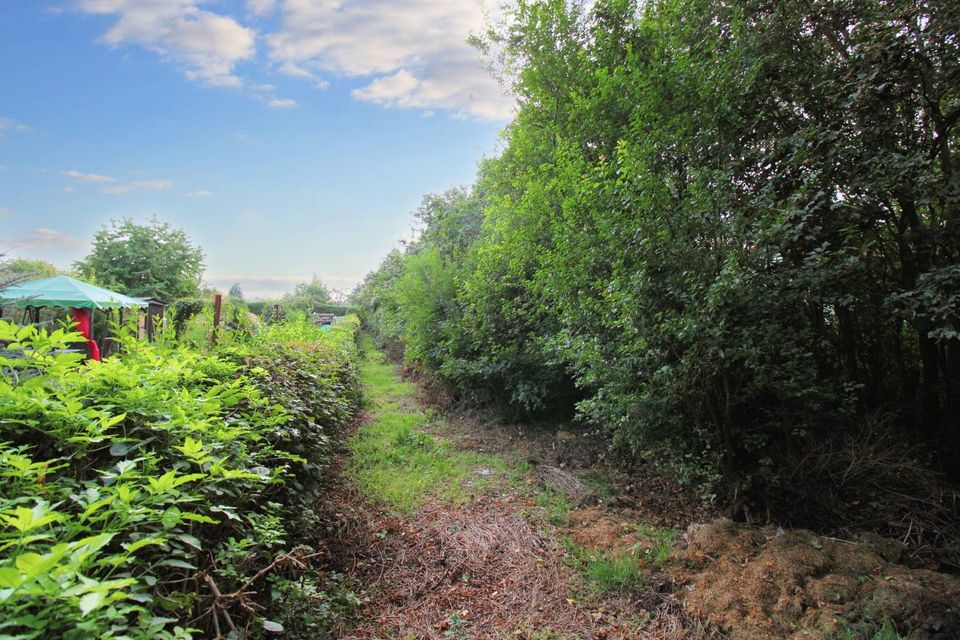 Zeit zur Entspannung: Großes Gartengrundstück in ruhiger Lage von Teutschenthal in Teutschenthal