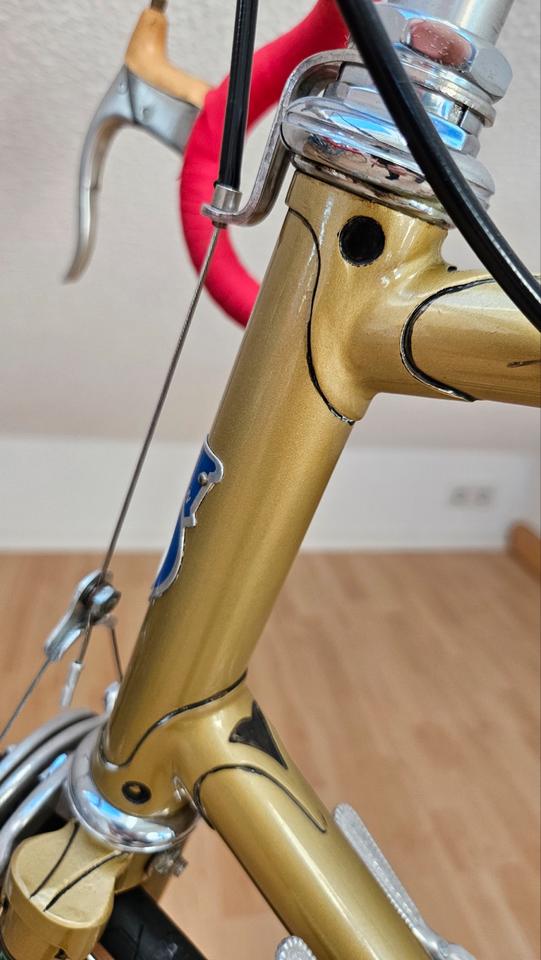 Rennrad, Cycle Hartman, Eroica, RH61, Campagnolo, viele Neuteile in Hagen
