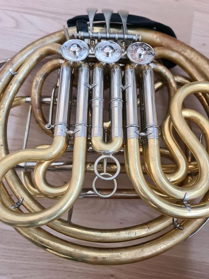 Horn Waldhorn Alexander 403 in Singen