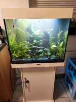 Aquarium von Juwel 120l (ab 8.11) abholbar Nordrhein-Westfalen - Borken Vorschau