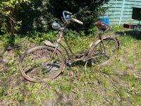 Fahrrad Oldtimer Brandenburg - Eberswalde Vorschau