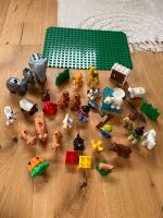 Lego Duplo Tiere + Platte Schleswig-Holstein - Rendsburg Vorschau